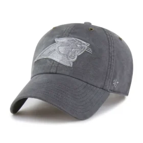 Carolina Panthers '47 Tinta Clean Up